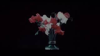 Stunningly beautiful Kinemacolor film: Sweet Pea Varieties (1911)