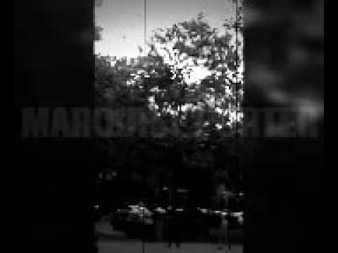 WHOEVER MARQUISE PORTER