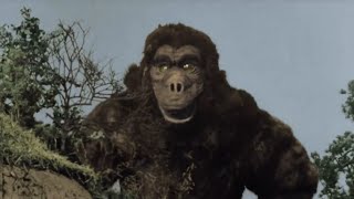 Download lagu King Kong vs Goro mp3