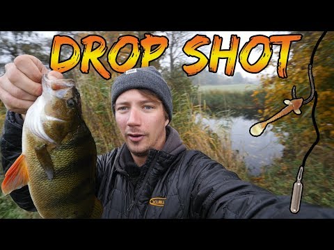 Fiskeri efter storaborrer med drop shot