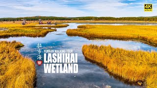 Video : China : LaShiHai Wetland, near LiJiang, YunNan