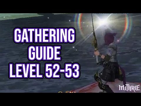 FFXIV 3.0 0654 Gathering Guide Level 52 to 53