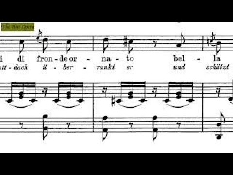 Benchè di senso, Lesson 8.2 (Nicola Vaccai) score animation, Soprano/Tenor, Karaoke