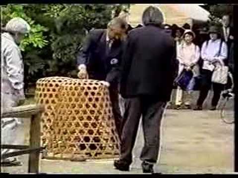 download lagu mp3 mp4 Japanese Poultry, download lagu Japanese Poultry gratis, unduh video klip Japanese Poultry