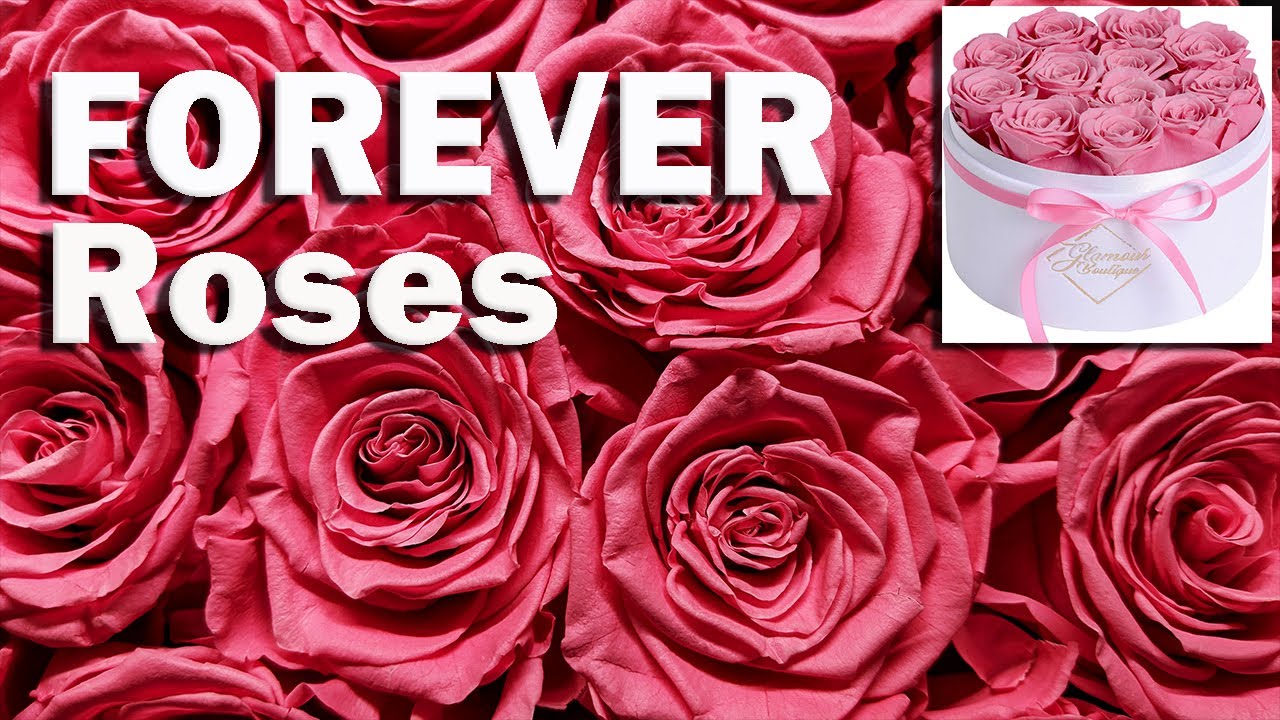 Glamour Boutique Forever Flowers Preserved Roses - Unboxing