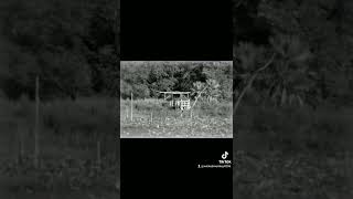 Chris LeDoux. You just can&#39;t see him from the road