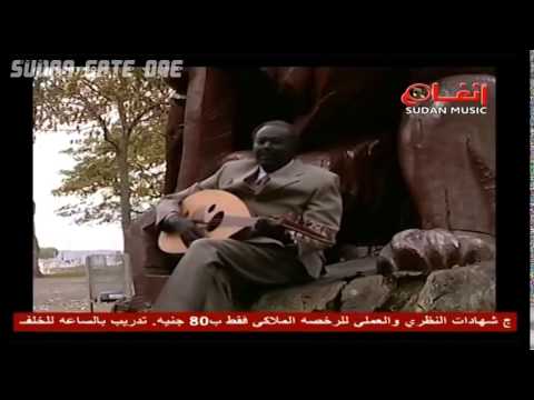 الفنان عبدالقادر سالم