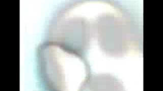 Ghost 2011 Devin Townsend - Drench.wmv