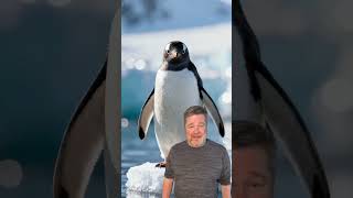 5 Insane Cruise Vacations You Didn't Know Existed!