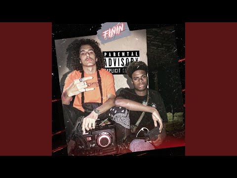 Finin