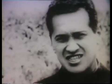 A look at Salvador Allende's Chile (1973)