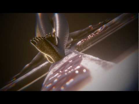 download lagu mp3 mp4 Pactum Serva, download mp3 Pactum Serva free download mp3, download mp3 Pactum Serva