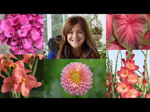 , title : '5 Popular Bulbs You Can Plant Now for Gorgeous Summer Color! 🌸🌼🌺 // Garden Answer'