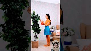 Download lagu High sandals‼️ mp3