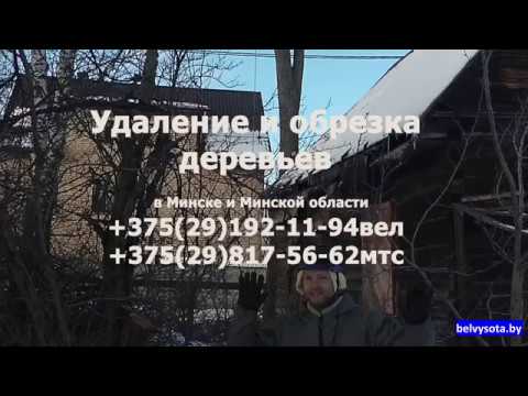 фото спилить дерево, обрезка деревьев, удаление деревьев 0