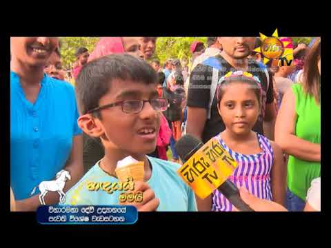 Hiru TV