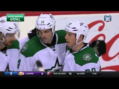 Dallas Stars at Minnesota Wild  11 28 2015