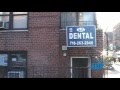 Dr Albina Polt Dentist