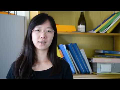 Six ways to look at the Higgs Boson. Episode 4: Decay into Z boson pairs