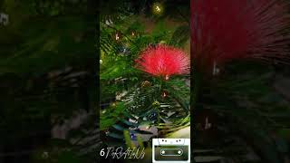 Download lagu Uthaman malayalam movie song   paalazhi theeram kandu njan  yesudas mp3