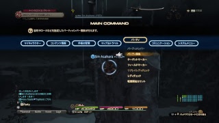 シンが逝く　FF１４ミハシラソロ　～何階まで上れるか～