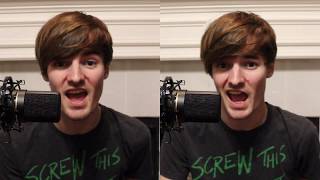 Teenage Dirtbag - Wheatus (NewsomMusic Cover)