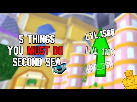 *TOP 5 THINGS THAT YOU CAN DO* In The Second Sea In Blox Fruits!