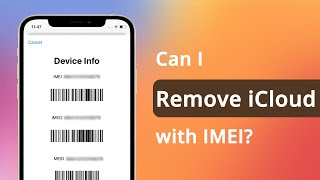 Can I Remove iCloud With IMEI? Check This Out!