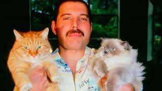 10 COSAS RARAS SOBRE FREDDIE MERCURY
