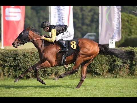 Berlin-Hoppegarten: Hoppegartener Sommerpreis (Listenrennen) - Sieger: Wildpark
