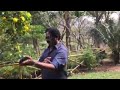 Vanda Yar Devar Whatsapp Status