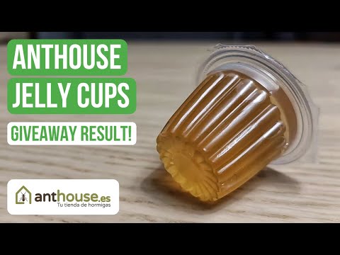 Anthouse Jelly Cups Review + Giveaway Results! | BRUMA Ants