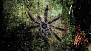 Hocico - Poisoned and silenced