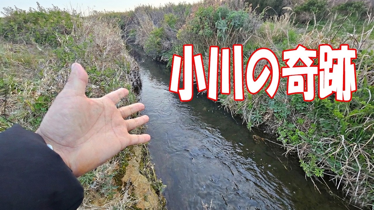 干満の影響の無い、3月の小川でうなぎ釣りしてみた結果