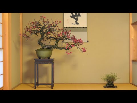 KATSURA RIKYU & GINKAKU-JI *KYOTO, JAPAN*