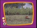 PBS Kids Zapping TV Take Care Of Our Land 2001