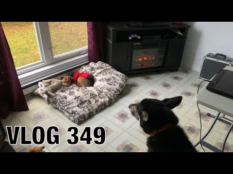 MOVING..again | Vlog 349