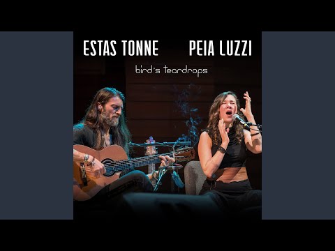 Bird's Teardrops (Live)