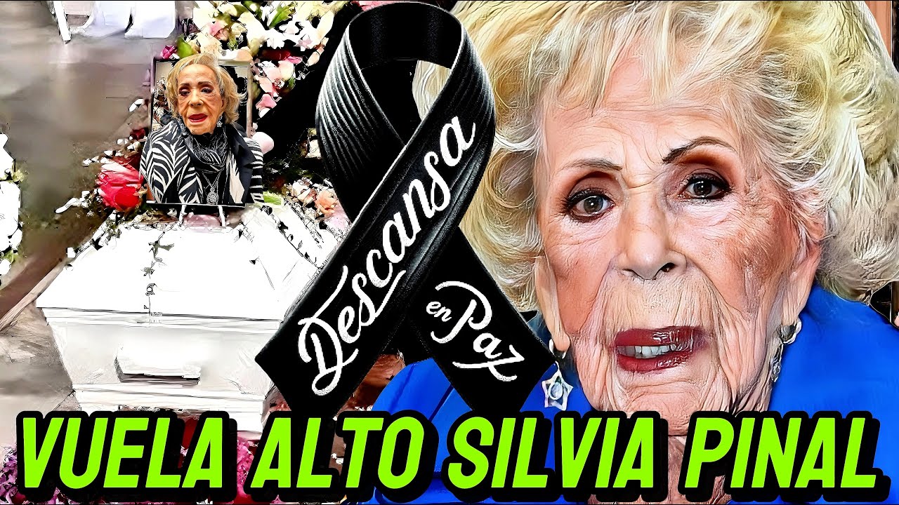 YouTube Thumbnail Downloader FULL HQ IMAGE