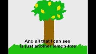 LEMON TREE - Fool&#39;s Garden with LYRICS!