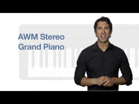 Yamaha Digital Piano Holiday Home Bundle