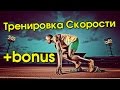 Тренировка Скорости + BONUS 