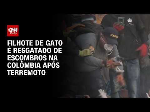 Vídeo: Filhote de gato é resgatado de escombros na Colômbia após terremoto | CNN BRASIL