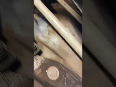 IMG 1204
