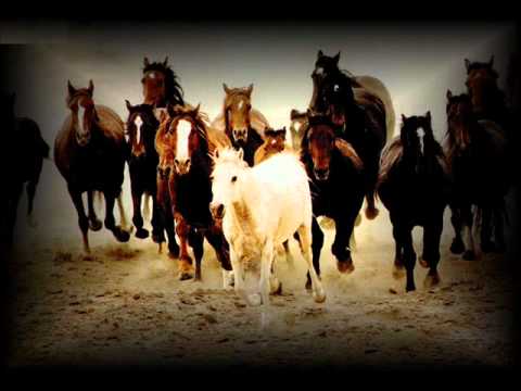 Skupina FLAM zo Sniny - Oj cij to kin stojit