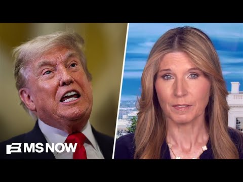 'Gluttonous relationship to power': Nicolle reacts to Trump comparing himself to HITLER