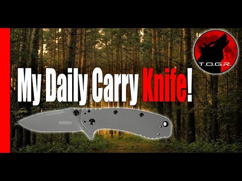 My Daily Carry - Kershaw Cryo II Pocket Knife Review - Blade Perfection