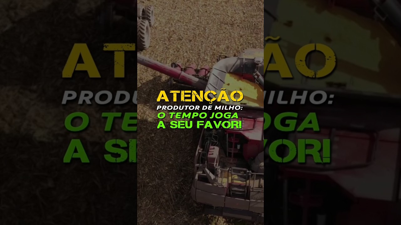ATENÇÃO PRODUTOR DE MILHO: O TEMPO JOGA A SEU FAVOR!