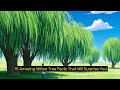 15 Amazing Willow Tree Facts That Will Surprise You!