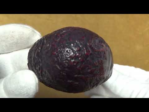 Pipa Peterson Kapries 68